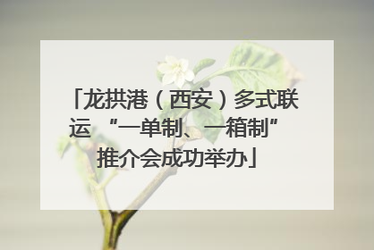 龙拱港（西安）多式联运 “一单制、一箱制” 推介会成功举办