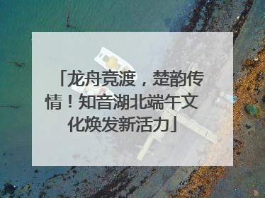龙舟竞渡，楚韵传情！知音湖北端午文化焕发新活力