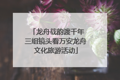 龙舟载韵渡千年 三组镜头看万安龙舟文化旅游活动