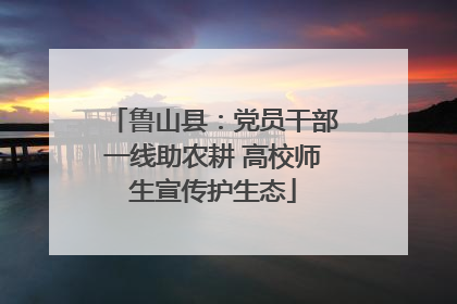 鲁山县：党员干部一线助农耕 高校师生宣传护生态