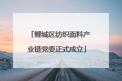 鲤城区纺织面料产业链党委正式成立