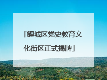 鲤城区党史教育文化街区正式揭牌
