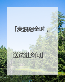 麦浪翻金时，送法进乡间