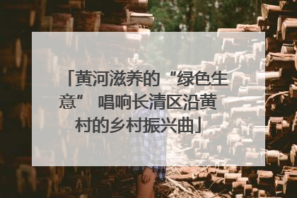 黄河滋养的“绿色生意” 唱响长清区沿黄村的乡村振兴曲