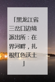 黑龙江省三岔口边境派出所：在界河畔，扎根红色沃土