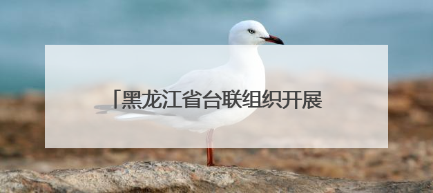 黑龙江省台联组织开展对台招商经贸考察活动