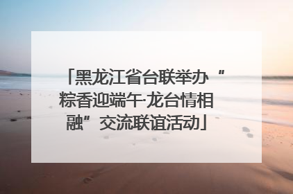 黑龙江省台联举办“粽香迎端午·龙台情相融”交流联谊活动