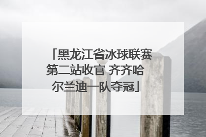 黑龙江省冰球联赛第二站收官 齐齐哈尔兰迪一队夺冠