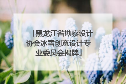 黑龙江省勘察设计协会冰雪创意设计专业委员会揭牌