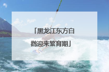 黑龙江东方白鹳迎来繁育期