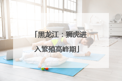 黑龙江：狮虎进入繁殖高峰期