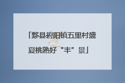 黟县碧阳镇五里村盛夏桃熟好“丰”景