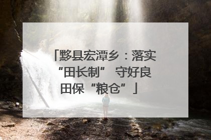 黟县宏潭乡：落实“田长制” 守好良田保“粮仓”