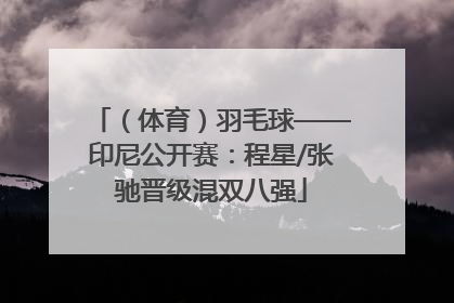 （体育）羽毛球——印尼公开赛：程星/张驰晋级混双八强
