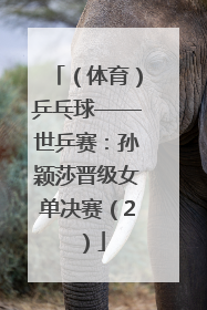 （体育）乒乓球——世乒赛：孙颖莎晋级女单决赛（2）