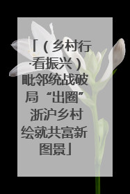 （乡村行·看振兴）毗邻统战破局“出圈” 浙沪乡村绘就共富新图景