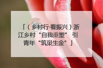（乡村行·看振兴）浙江乡村“自我重塑” 引青年“筑巢生金”