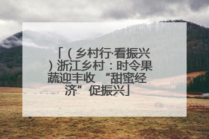 （乡村行·看振兴）浙江乡村：时令果蔬迎丰收 “甜蜜经济”促振兴