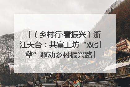 （乡村行·看振兴）浙江天台：共富工坊“双引擎”驱动乡村振兴路