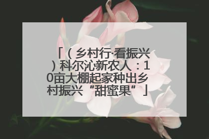 （乡村行·看振兴）科尔沁新农人：10亩大棚起家种出乡村振兴“甜蜜果”
