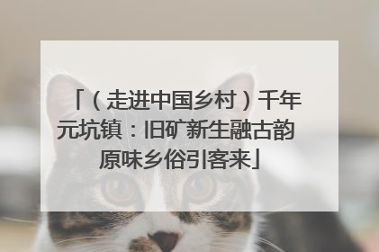 （走进中国乡村）千年元坑镇：旧矿新生融古韵 原味乡俗引客来