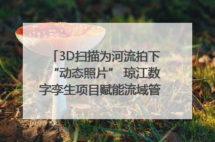 3D扫描为河流拍下“动态照片” 琼江数字孪生项目赋能流域管理｜新闻发布最前线