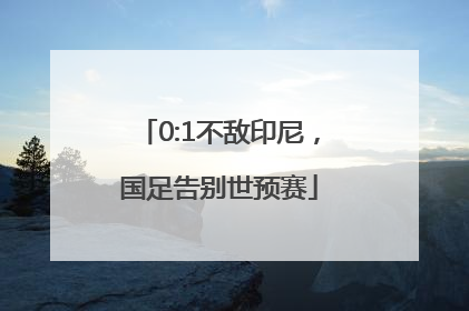 0:1不敌印尼，国足告别世预赛