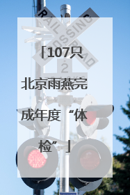 107只北京雨燕完成年度“体检”