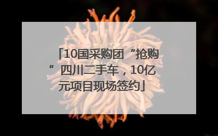 10国采购团“抢购”四川二手车，10亿元项目现场签约