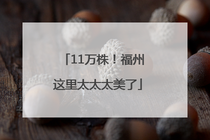 11万株！福州这里太太太美了
