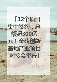 12个项目集中签约，总额超300亿元！金砖创新基地产业项目对接会举行