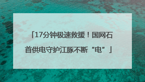 17分钟极速救援！国网石首供电守护江豚不断“电”