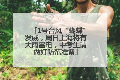 1号台风“蝴蝶”发威，周日上海将有大雨雷电，中考生请做好防范准备