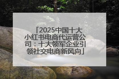2025中国十大小红书电商代运营公司：十大领军企业引领社交电商新风向