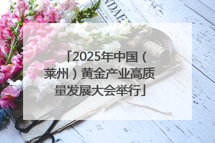 2025年中国（莱州）黄金产业高质量发展大会举行