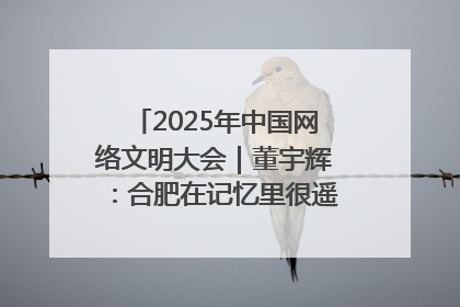 2025年中国网络文明大会｜董宇辉：合肥在记忆里很遥远也很亲切