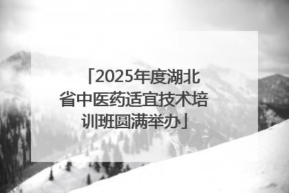 2025年度湖北省中医药适宜技术培训班圆满举办