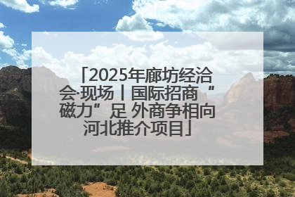 2025年廊坊经洽会·现场丨国际招商“磁力”足 外商争相向河北推介项目