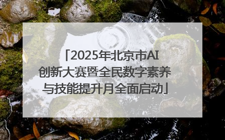 2025年北京市AI创新大赛暨全民数字素养与技能提升月全面启动