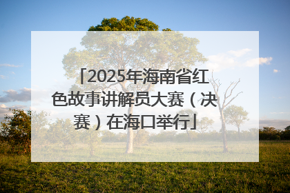 2025年海南省红色故事讲解员大赛（决赛）在海口举行