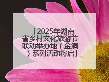 2025年湖南省乡村文化旅游节联动举办地（金洞）系列活动将启