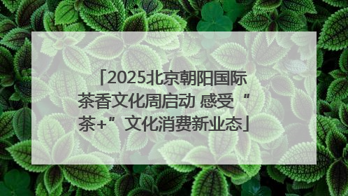 2025北京朝阳国际茶香文化周启动 感受“茶+”文化消费新业态