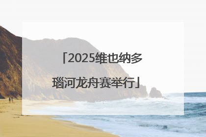 2025维也纳多瑙河龙舟赛举行