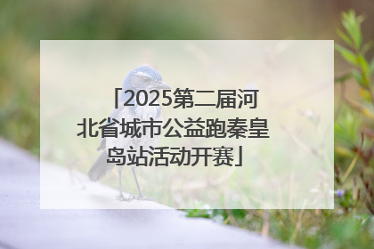 2025第二届河北省城市公益跑秦皇岛站活动开赛