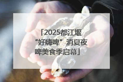 2025都江堰“好嗨啤”消夏夜啤美食季启幕