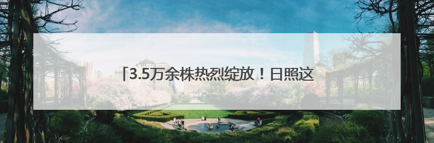 3.5万余株热烈绽放！日照这座高架桥变身“空中花廊”！