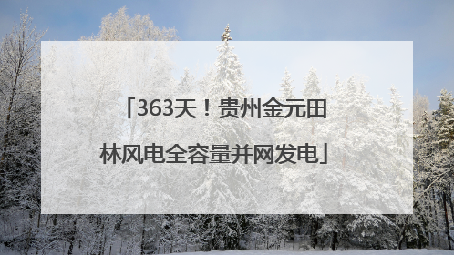 363天！贵州金元田林风电全容量并网发电