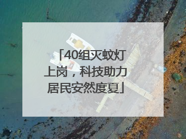40组灭蚊灯上岗，科技助力居民安然度夏