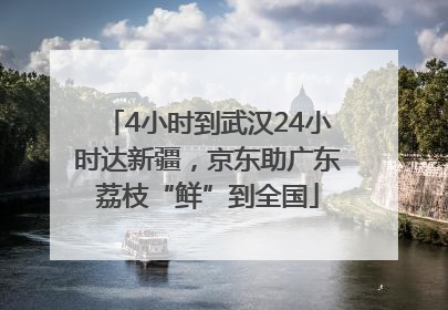 4小时到武汉24小时达新疆，京东助广东荔枝“鲜”到全国