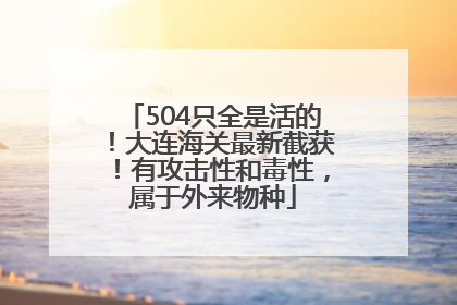 504只全是活的！大连海关最新截获！有攻击性和毒性，属于外来物种